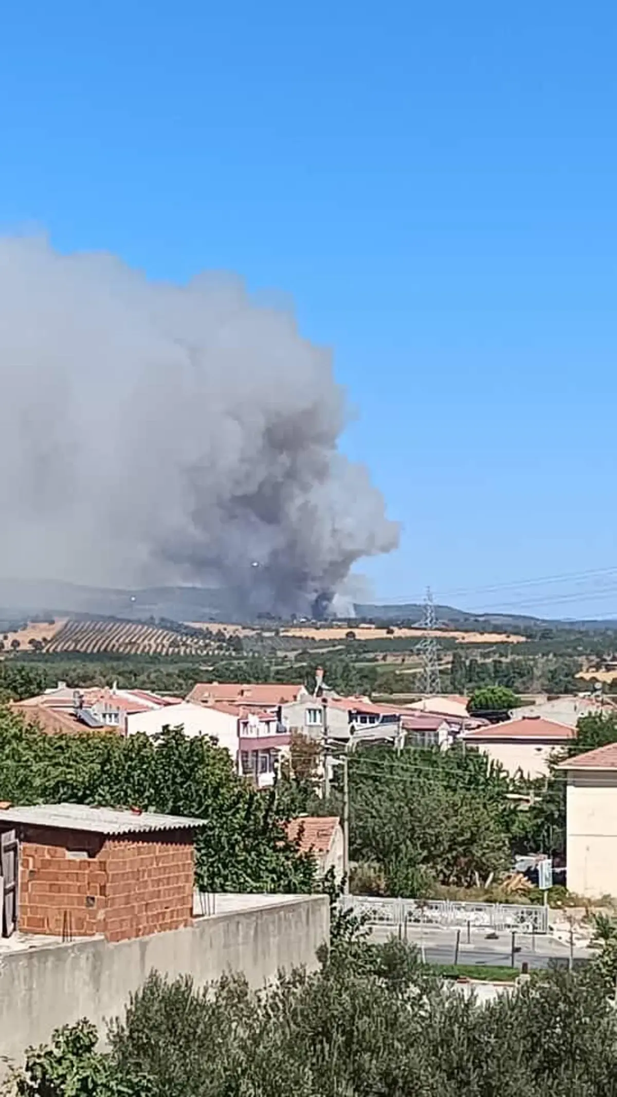 canakkalede orman yangini TfA28eDU