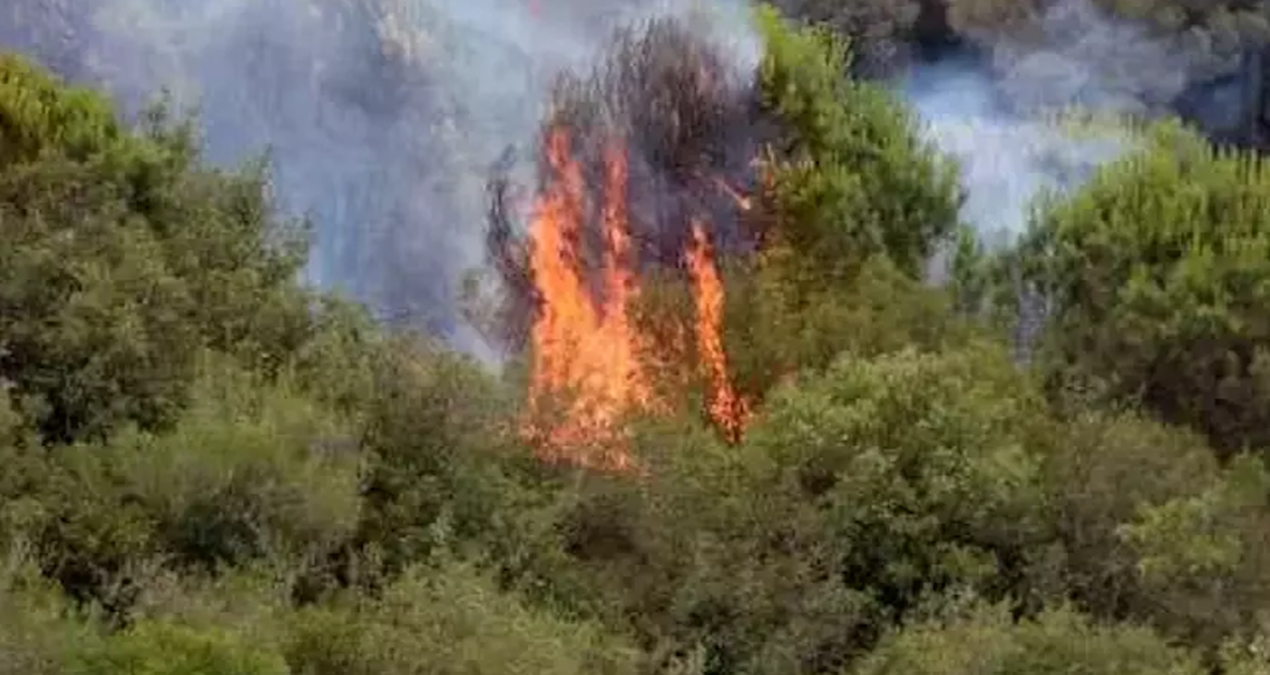 istanbulda yangin panigi cok sayida ekip sevk edildi wUJAuVOz