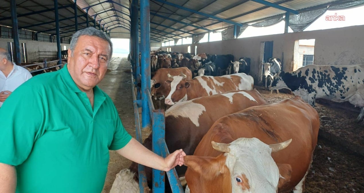 gurer et fiyatlarina isyan etti uretici degil ithalat kazaniyor yZDaS1B6.jpg